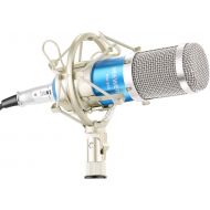[아마존베스트]Neewer NW-800 Microphone Set (silver)