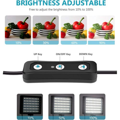 니워 [아마존베스트]Neewer 2 Packs Dimmable 5600K USB LED Video Light with Adjustable Tripod Stand/Color Filters for Tabletop/Low Angle Shooting, Colorful LED Lighting, Product Portrait YouTube Video