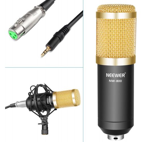 니워 [아마존베스트]Neewer NW-800 Professional Studio Broadcasting Recording Condenser Microphone & NW-35 Adjustable Recording Microphone Suspension Scissor Arm Stand