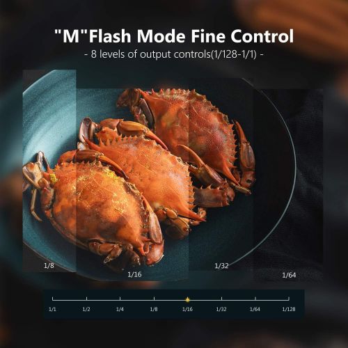 니워 [아마존베스트]Neewer NW-670 TTL Flash Speedlite with LCD Display for Canon 7D Mark II, 5D Mark II III, IV,1300D, 1200D, 1100D, 750D, 700D, 650D, 600D, 550D, 500D, 100D, 80D, 70D, 60D and Other C