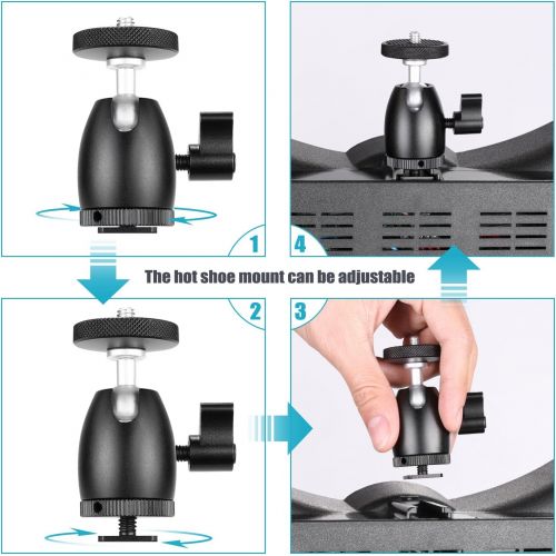 니워 [아마존베스트]Neewer 2pcs 1/4 Screw Tripod Mini Ball Head Hot Shoe Adapter Camera Cradle for HTC Vive VR Base Station LED Ring Light Camera Camcorder