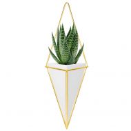 Nellam Ceramic Planter - Modern Geometric Hanging Wall Pot with Brass Frame - Large Mounted Decorative Vase & Container for Indoor Plants & Succulents - Potter for Flower, Herbs, V