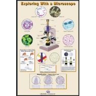 Neo/Sci Corporation Neo/SCI 35-1006 Exploring with a Microscope Poster, Laminated, 23 x 35 Size