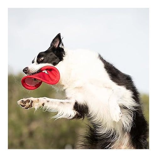 너프 Nerf Dog Nylon Flyer Dog Toy, Flying Disc, Lightweight, Durable and Water Resistant, Great for Beach and Pool, 9 inch diameter, for Medium/Large Breeds, Single Unit, Red