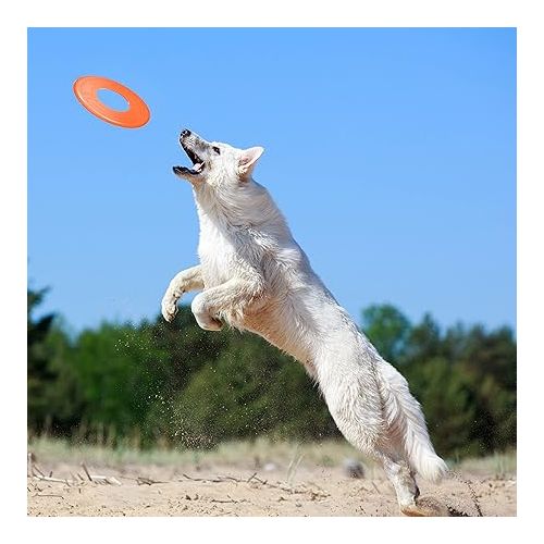 너프 Nerf Dog 10in Atomic Flyer - Orange