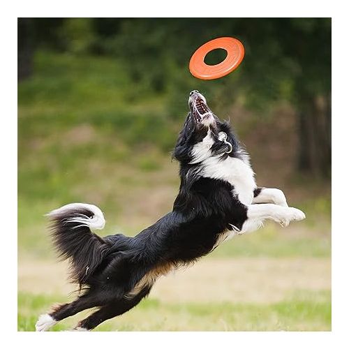 너프 Nerf Dog 10in Atomic Flyer - Orange