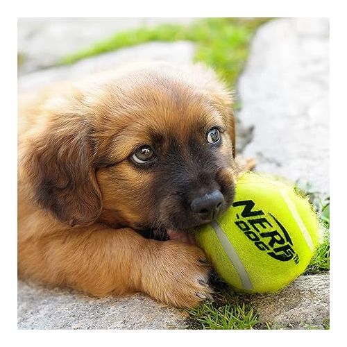 너프 Nerf Dog 16-Piece Dog Toy Gift Set, Includes 16 2.5in Squeak Tennis Balls and a 10.25in Bucket, Nerf Tough Material, Green