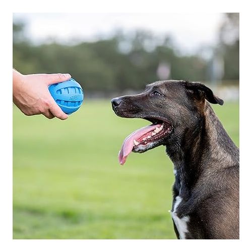 너프 Nerf Dog Rubber Ball Dog Toy with Checkered Squeaker, Lightweight, Durable and Water Resistant, 4 Inch Diameter for Medium/Large Breeds, Single Unit, Blue