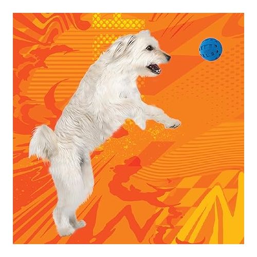 너프 Nerf Dog Rubber Ball Dog Toy with Checkered Squeaker, Lightweight, Durable and Water Resistant, 4 Inch Diameter for Medium/Large Breeds, Single Unit, Blue