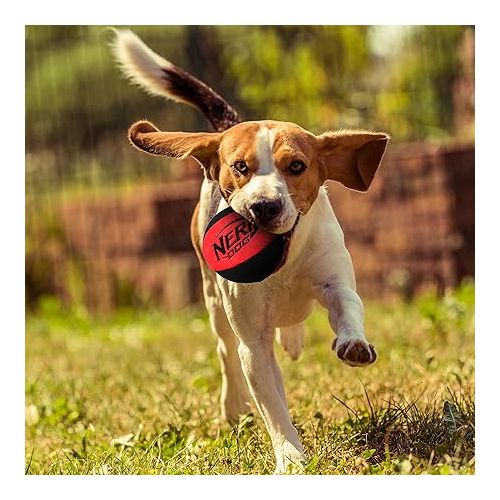 너프 Nerf Dog Trackshot Ball Dog Toy, Lightweight, Durable and Water Resistant, 4.5 Inches, for Medium/Large Breeds, Single Unit, Red
