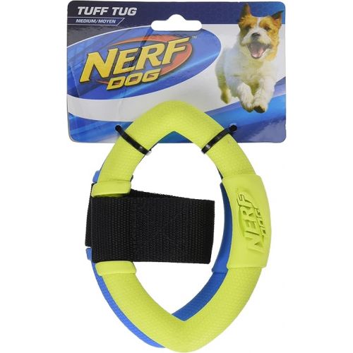 너프 Nerf Dog 13in 2-Ring Strap Tug - Blue/Green