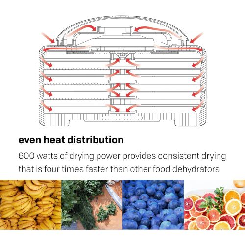  [아마존베스트]NESCO FD-75A, Snackmaster Pro Food Dehydrator, Gray