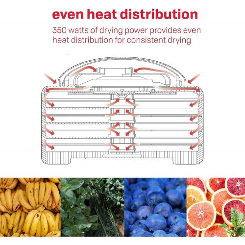  [아마존베스트]Nesco JerkyXpress dehydrator, 14 inches X 9.75 inches, White