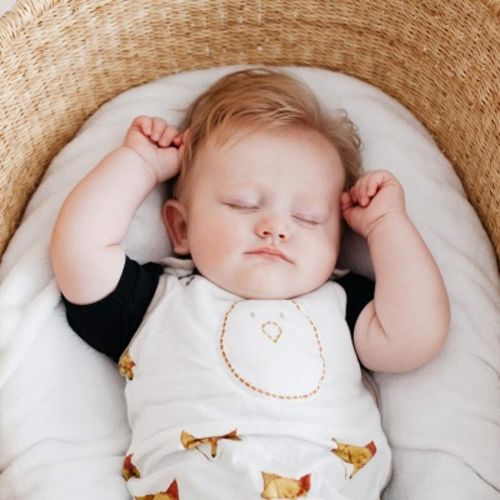  Nested Bean Zen Sack Premier - 70% Rayon from Bamboo Baby Sleeping Bag | Adjustable Wearable...