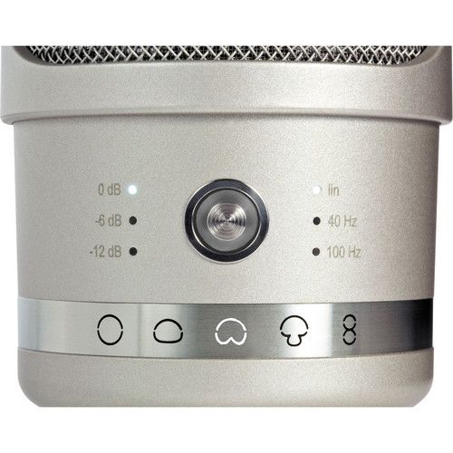  Neumann TLM 107 Large-Diaphragm Multipattern Condenser Microphone (Nickel)
