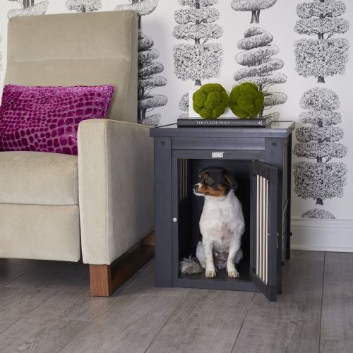  New Age Pet ecoFlex Pet Crate/End Table