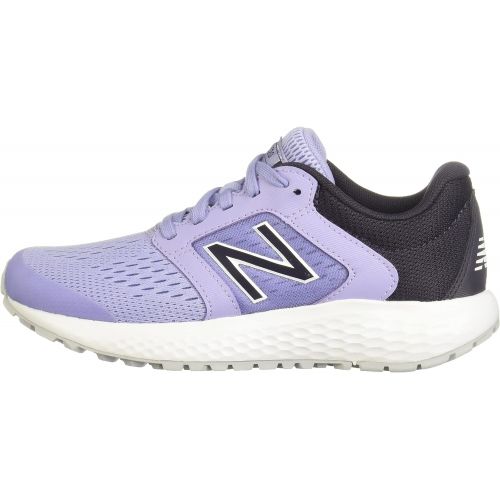 뉴발란스 New Balance Womens 520 V5 Running Shoe