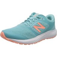 New Balance Womens 520 V6 Running Shoe