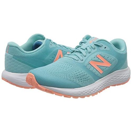 뉴발란스 New Balance Womens 520 V6 Running Shoe