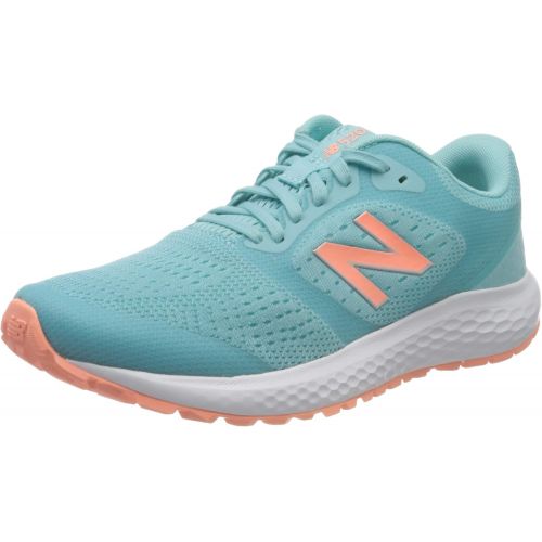 뉴발란스 New Balance Womens 520 V6 Running Shoe