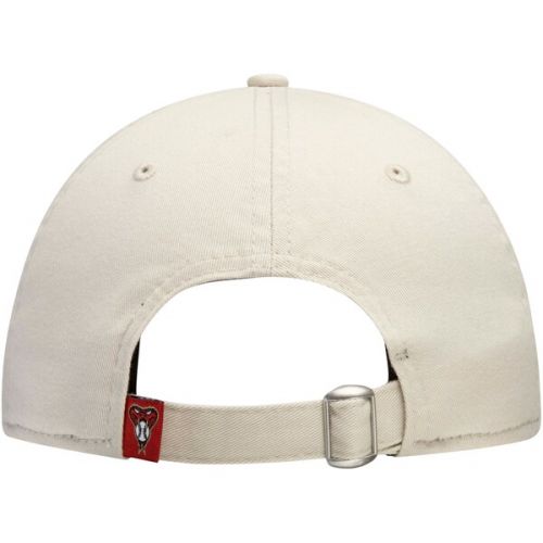  Men's Arizona Diamondbacks New Era Tan Core Classic Twill 9TWENTY Adjustable Hat