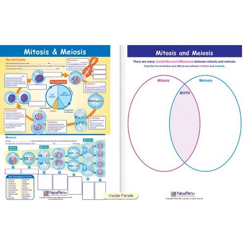  New Path Learning NewPath Learning 10 Piece Mastering Middle School Life Science Visual Learning Guides Set, Grade 5-9