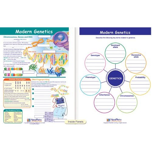  New Path Learning NewPath Learning 10 Piece Mastering Middle School Life Science Visual Learning Guides Set, Grade 5-9