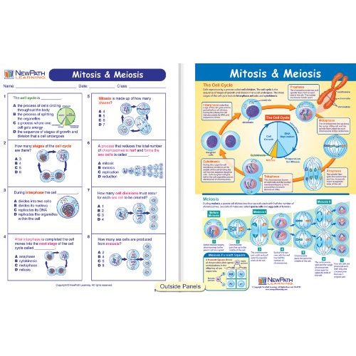  New Path Learning NewPath Learning 10 Piece Mastering Middle School Life Science Visual Learning Guides Set, Grade 5-9