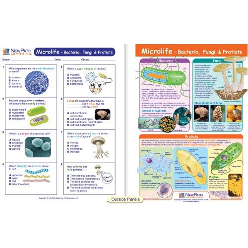  New Path Learning NewPath Learning Science Six Kingdoms of Life Visual Learning Guide Set, Grade 5-9