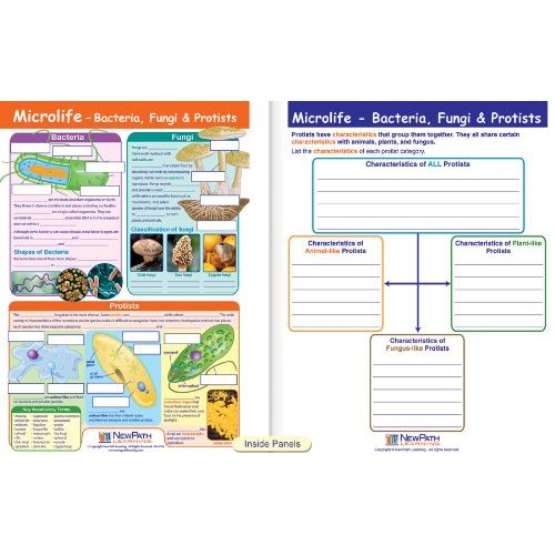 New Path Learning NewPath Learning Science Six Kingdoms of Life Visual Learning Guide Set, Grade 5-9