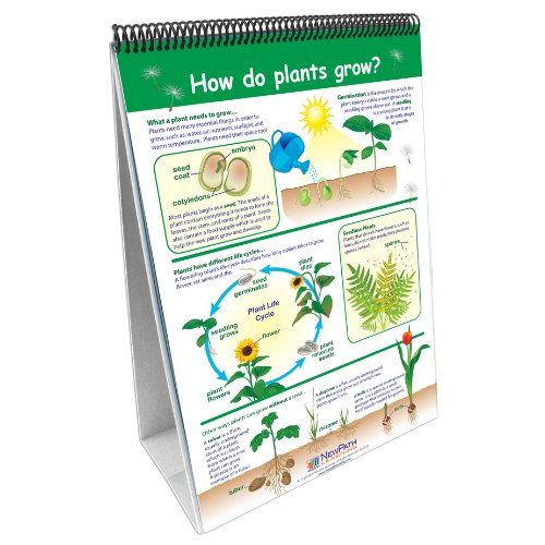  New Path Learning NewPath Learning Science Flip Chart Set Grade 3