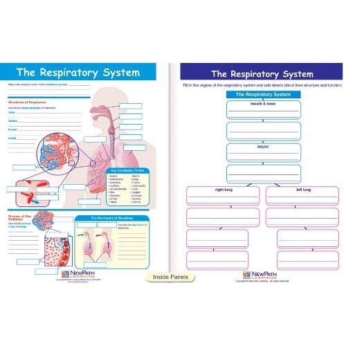  New Path Learning NewPath Learning Human Body Visual Learning Guide Set, Grade 6-10