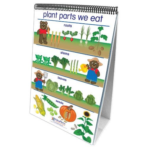  New Path Learning NewPath Learning All About Plants Curriculum Mastery Flip Chart Set, Early Childhood