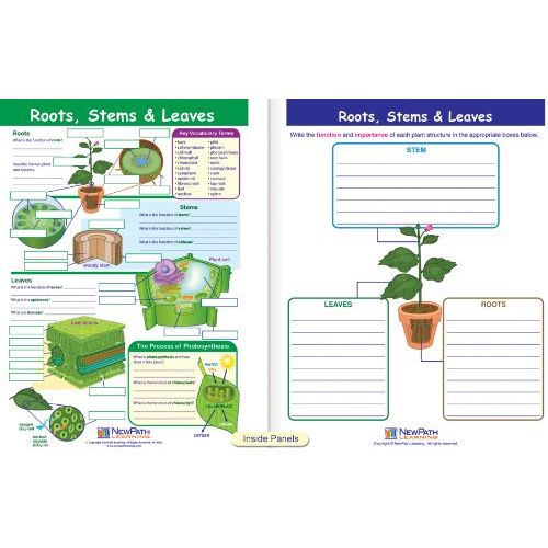  New Path Learning NewPath Learning 10 Piece Mastering Science Visual Learning Guides Set, Grade 5