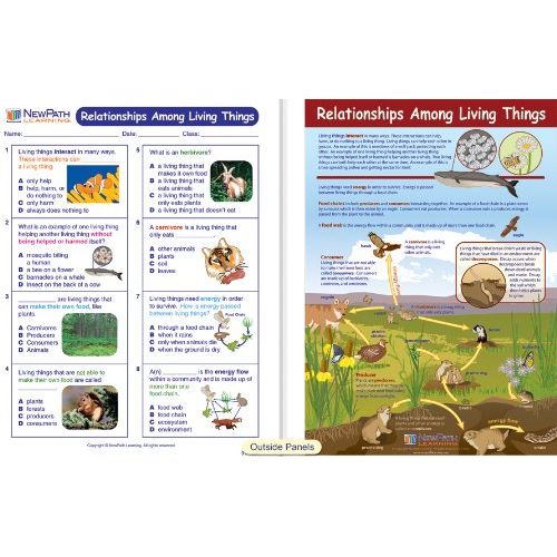  New Path Learning NewPath Learning 10 Piece Mastering Science Visual Learning Guides Set, Grade 3