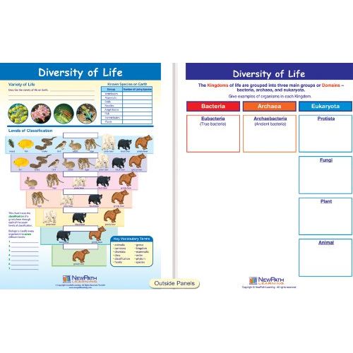  New Path Learning NewPath Learning 10 Piece Mastering Science Visual Learning Guides Set, Grade 6