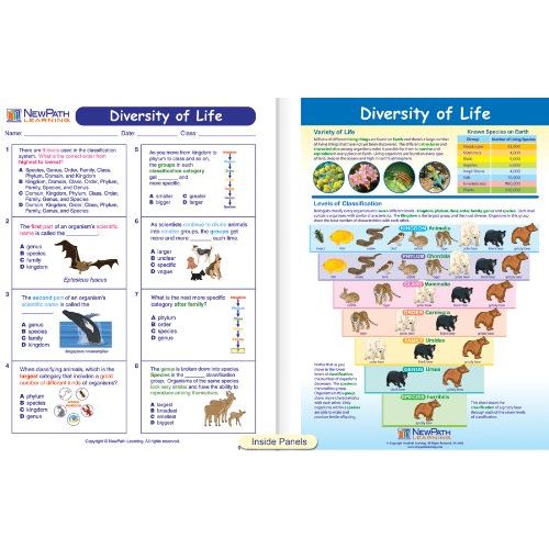  New Path Learning NewPath Learning 10 Piece Mastering Science Visual Learning Guides Set, Grade 6