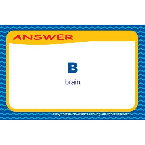  NewPath Learning Biology and the Human Body Curriculum Mastery Game, Grade 6-10, Class Pack