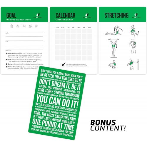  NewMe Fitness Gym Equipment Exercise Cards, Set of 62 - Guided Workouts for Strength & Cardio :: Illustrated Fitness Cards with 50 Exercises, for Men & Women :: Large, Durable, Waterproof