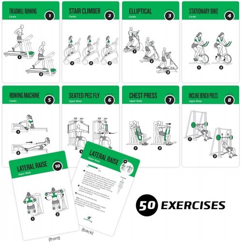  NewMe Fitness Gym Equipment Exercise Cards, Set of 62 - Guided Workouts for Strength & Cardio :: Illustrated Fitness Cards with 50 Exercises, for Men & Women :: Large, Durable, Waterproof