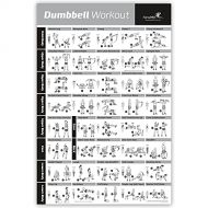 NewMe Fitness Dumbbell Workout Exercise Poster - Now Laminated - Strength Training Chart - Build Muscle, Tone & Tighten - Home Gym Weight Lifting Routine - Body Building Guide w/Fr