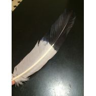 NewMoonBeginnings Smudge Feather - Energy Clearing - Smudging - Feather - size 10-12 - Feather - Native American healing