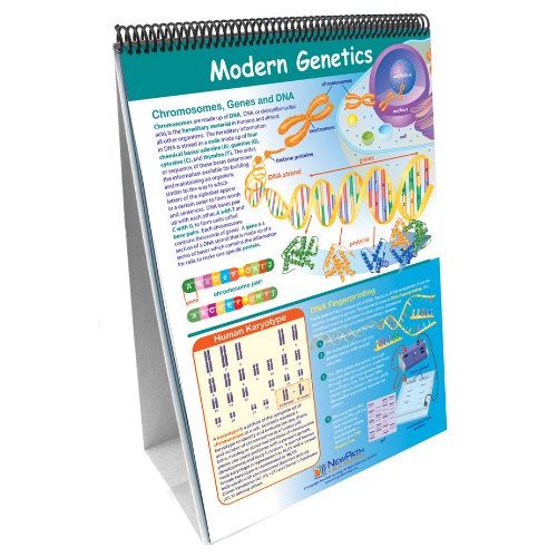  NewPath Learning 10 Piece Science Curriculum Mastery Flip Chart Set, Grade 8-10