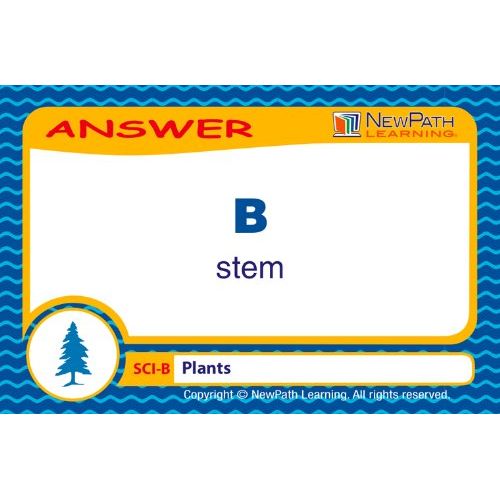  NewPath Learning Mastering Science Skills Grade 2 Game