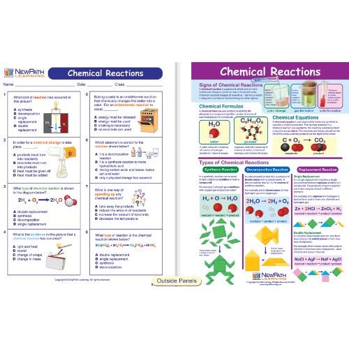  NewPath Learning 10 Piece Mastering Science Visual Learning Guides Set, Grade 8-10