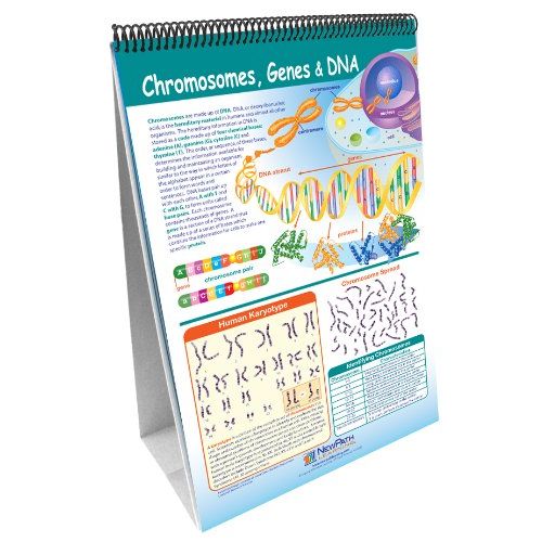  NewPath Learning 10 Piece Science Genetics and Heredity Curriculum Mastery Flip Chart Set, Grade 6-10