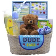 Newborn Nikkis New Arrival Baby Boy Gift Basket (Blue)