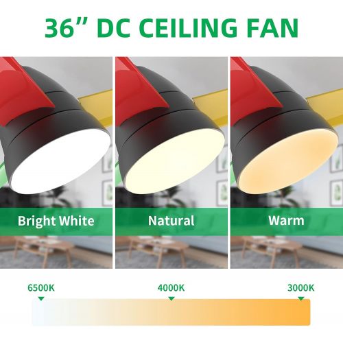  Small Ceiling Fans, Newday 36 Ceiling Fan with Lights and Remote, Modern Ceiling Fans with 3 Reversible Blades, DC Motor, for Kids Room or Other Indoor Use