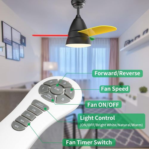  Small Ceiling Fans, Newday 36 Ceiling Fan with Lights and Remote, Modern Ceiling Fans with 3 Reversible Blades, DC Motor, for Kids Room or Other Indoor Use