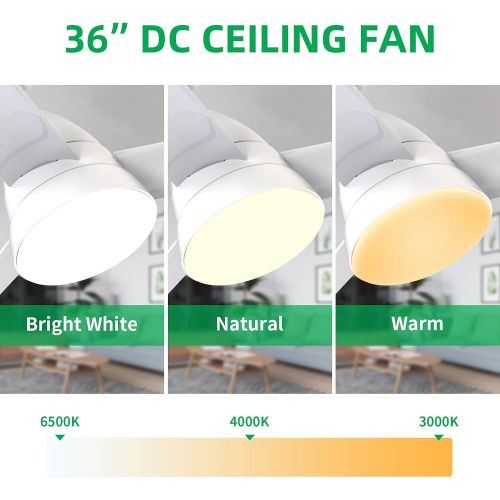  Small Ceiling Fans, Newday 36 Ceiling Fan with Lights and Remote, Modern Ceiling Fans with 3 Reversible Blades, DC Motor, for Kids Room or Other Indoor Use